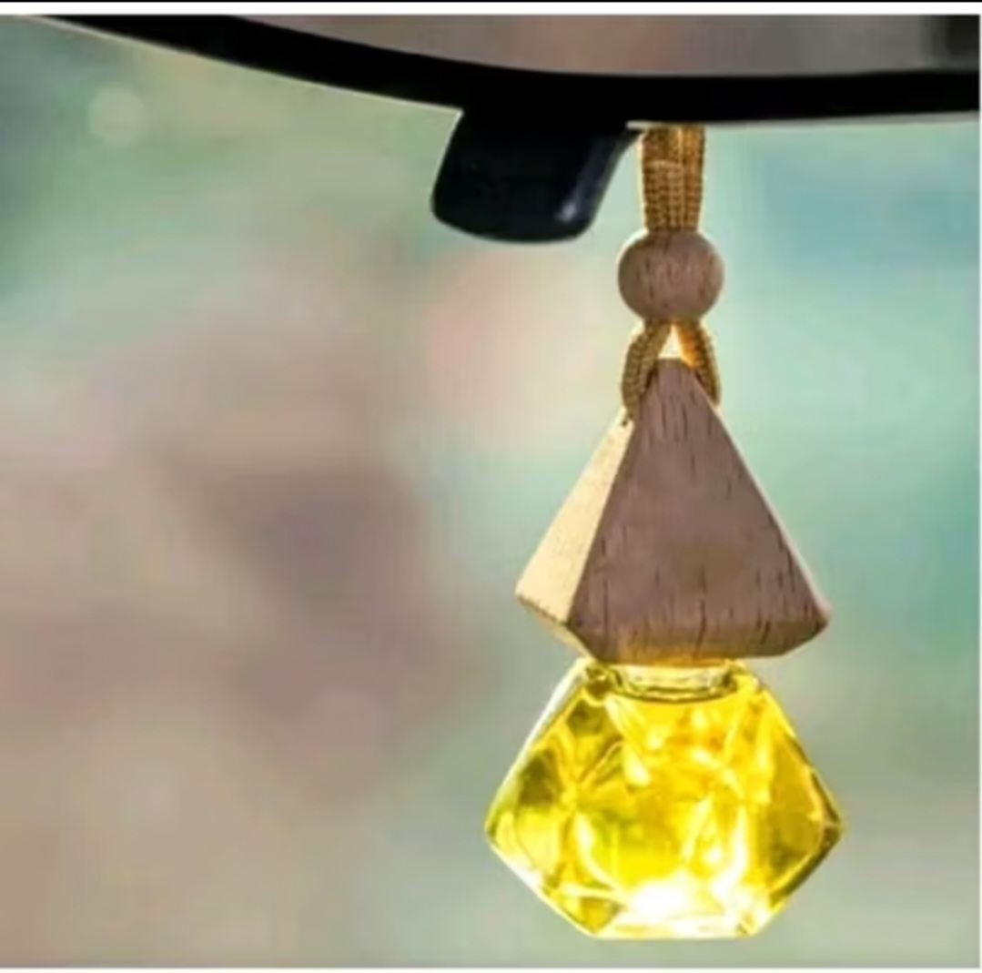 1 LỌ NƯỚC HOA KHỬ MÙI DIỆT KHUẨN LÀM THƠM XE HƠI ÔTÔ CAO CẤP