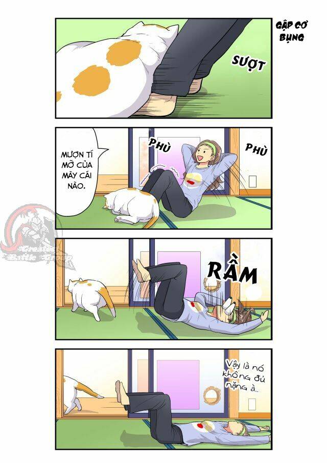 cat is silver vine chapter 11 3