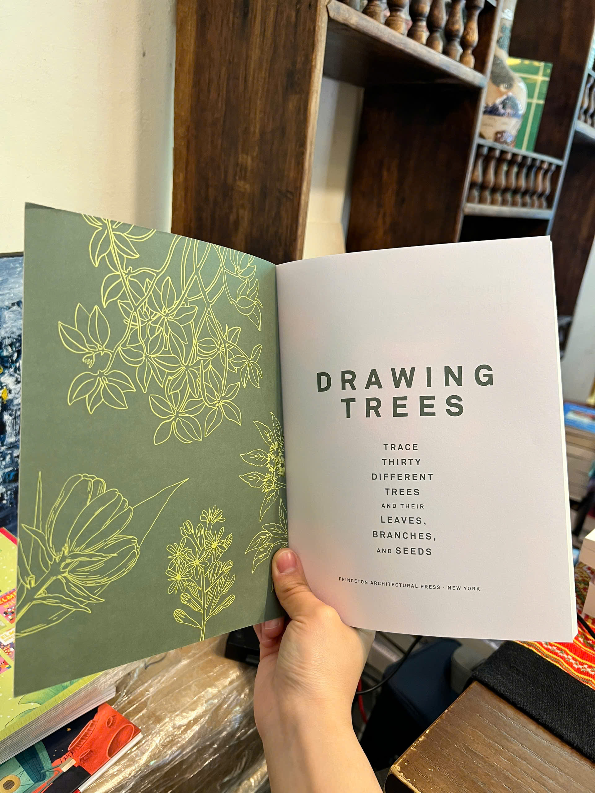 Sách - Drawing Trees: Trace 30 Different Trees &amp; Their Leaves, Branches, &amp; Seeds | Art / Ngoại văn