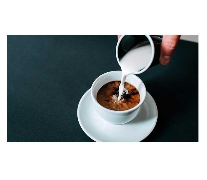 BỘT KEM SỮA KHÔNG ĐƯỜNG VỊ HAZELNUT Coffee Mate Sugar Free Powder Coffee Creamer 289g (10.2oz)