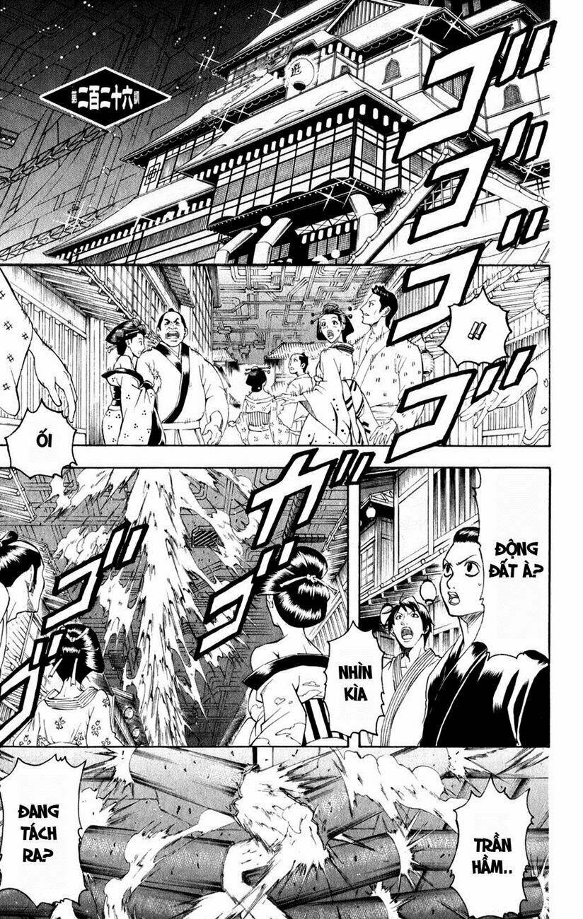 gintama - linh hồn bạc chapter 226 3