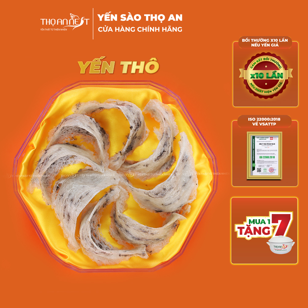 100 gram yến thô nguyên tổ còn lông - Yến Sào Thọ An