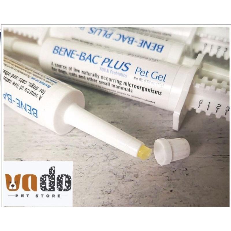 Men tiêu hoá Bene Bac Plus dạng gel - Ống 15g