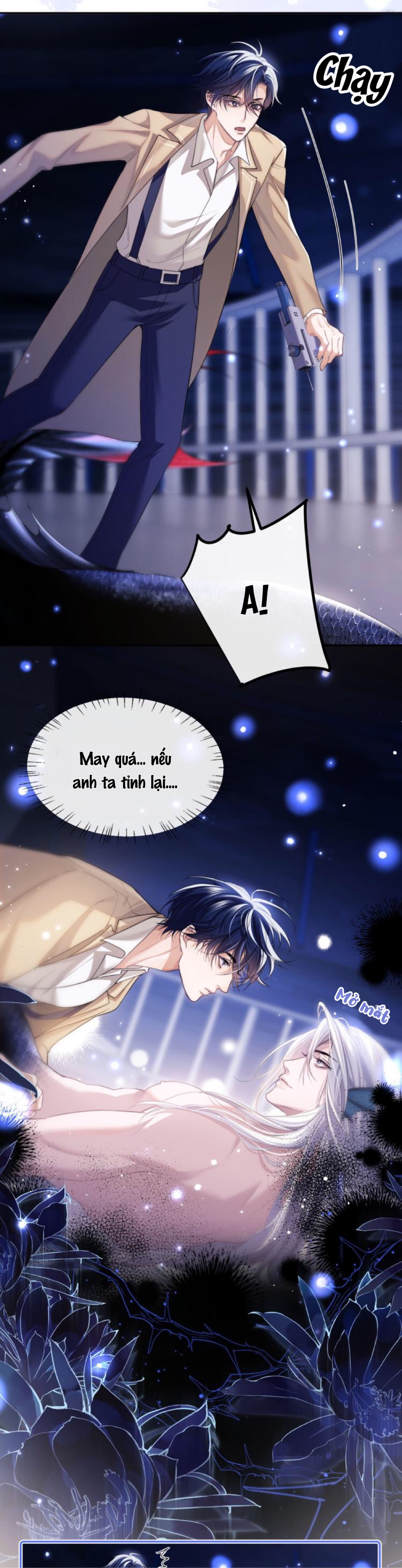 nhân ngư dessaro chapter 3 22