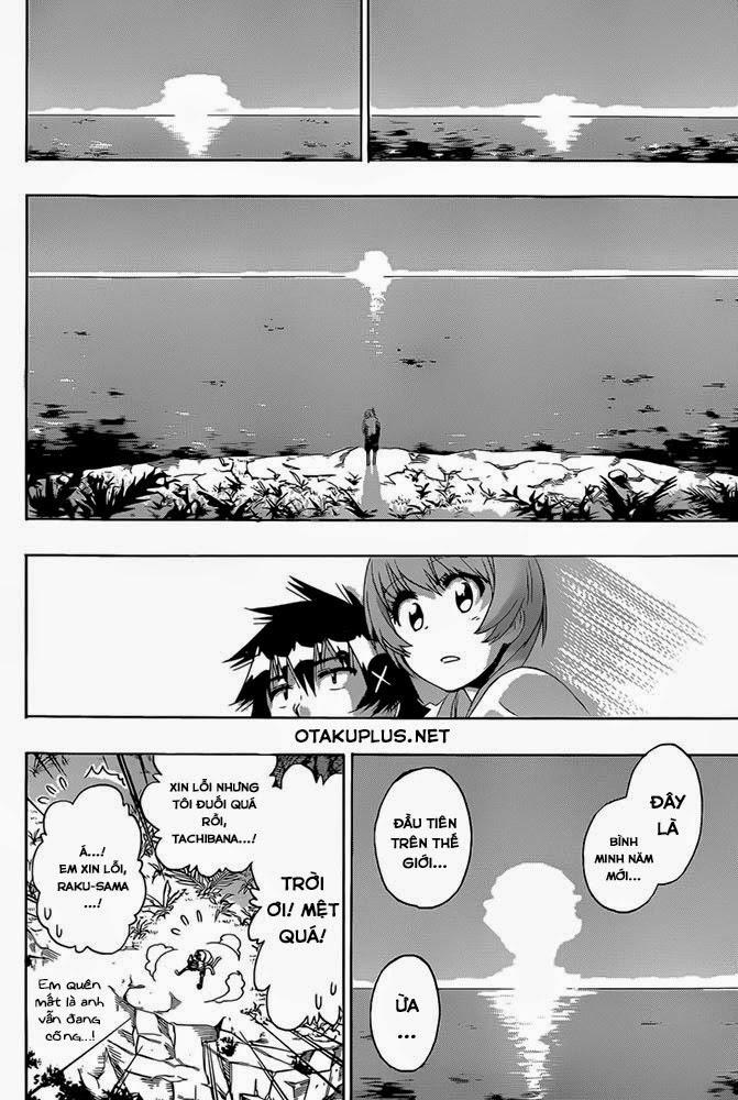 nisekoi - tình yêu giả tạo chapter 171 17