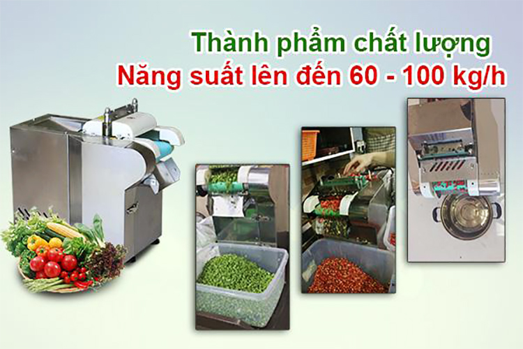 Máy Thái Lát Rau Củ Quả Có Băng Tải 3A370W Năng Suất 100Kg/h - Hàng Chính Hãng