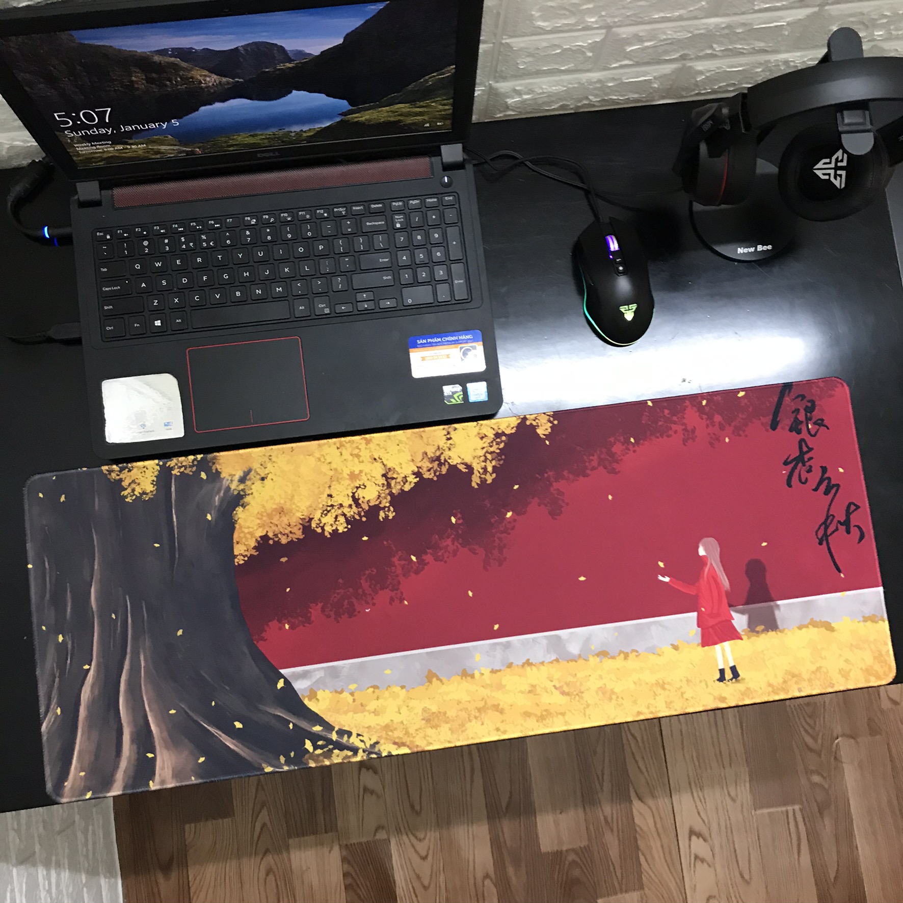 [80x30x0.3 - Nhiều mẫu] Miếng Lót Chuột, Bàn Di Chuột, mouse pad Cute dễ thương cỡ lớn