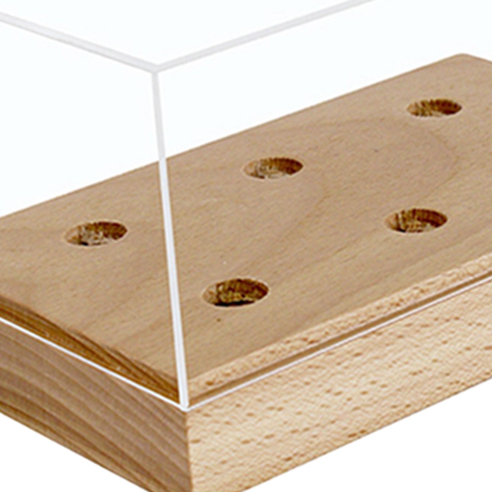 Clear Turntable Headshell Storage Box Accs Cartridges Keeper Phono shell cases Decorative Protection Dus long play Durable Practical for Displaying