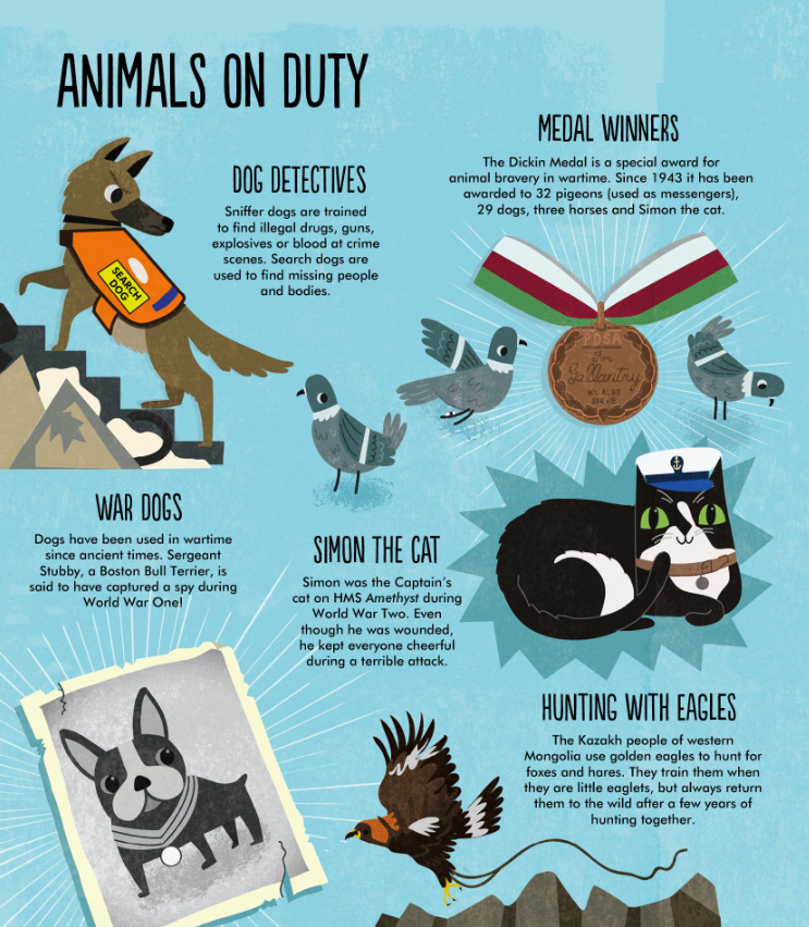 Facts: Essential Knowledge For Curious Kids