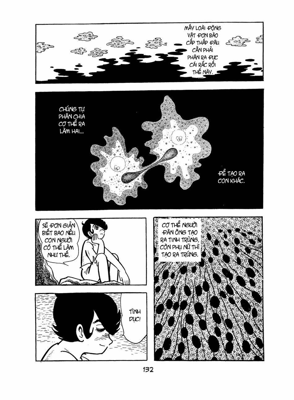 apollo’s song chapter 2.2 8