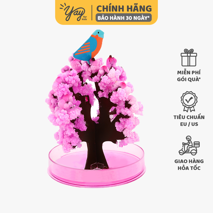 Cây Hoa Anh Đào Sakura Trang Trí Thần Kỳ Tự Nở Cho bé 3+ - Tooky Toy