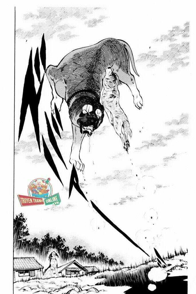 chú chó có nghĩa - ginga nagareboshi gin chapter 29.2 17