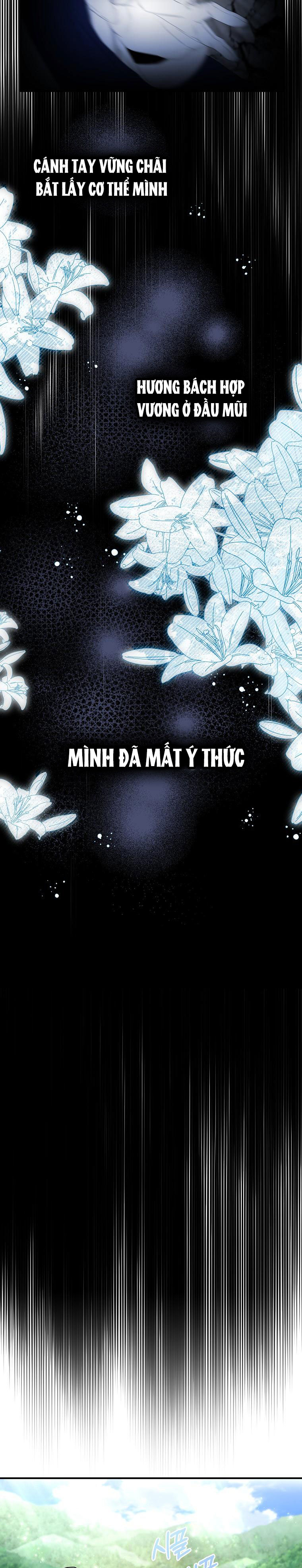 tôi sẽ cố gắng bảo vệ em gái chapter 65.1 23