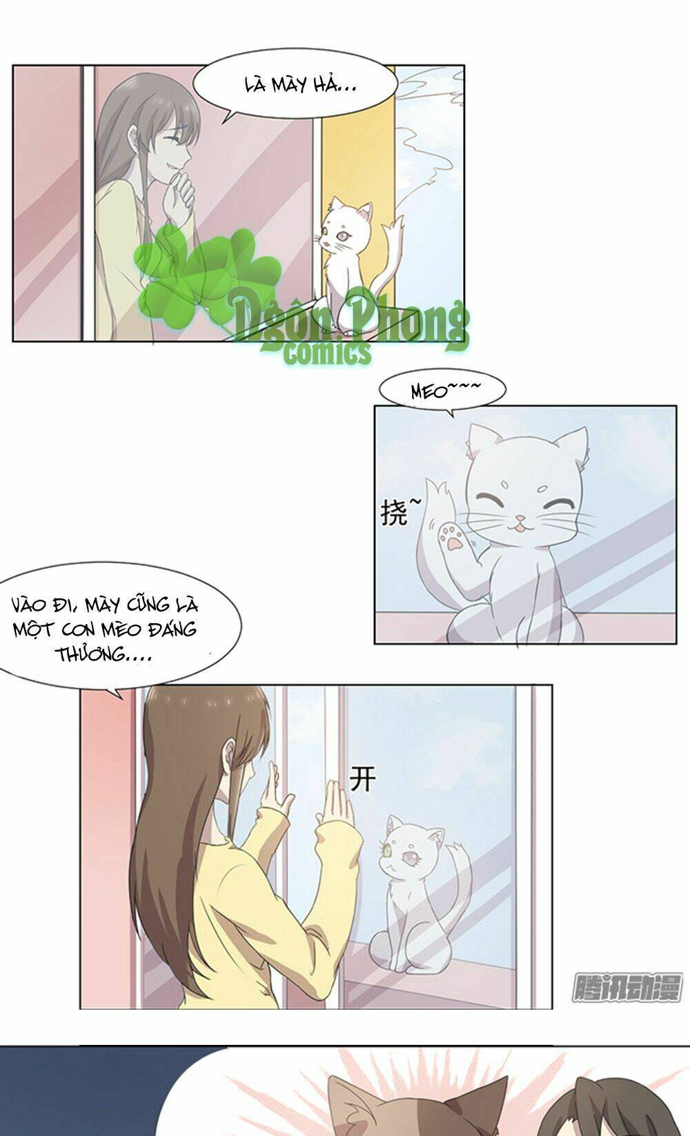 hai chú mèo totem chapter 32 19