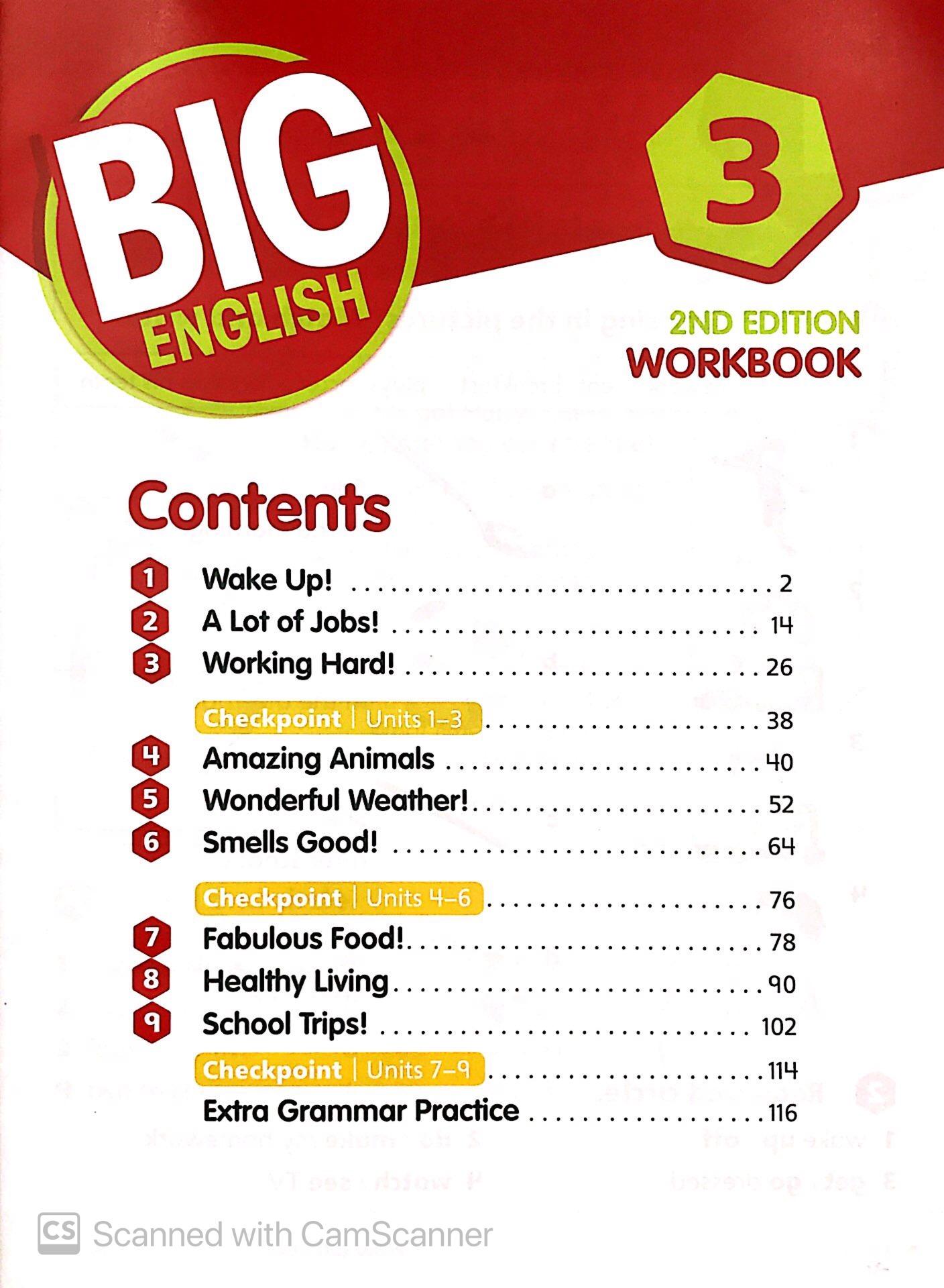 Big English 2ed PTE YL WB3 VN
