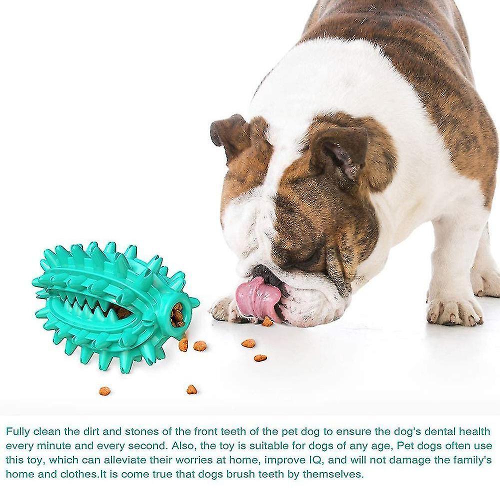 Chó nhai đồ chơi với chuông