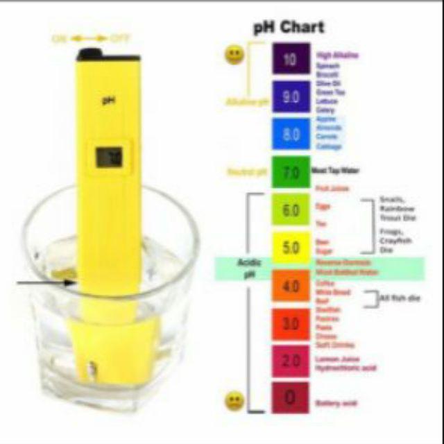 Bút Đo Ph đủ bộ dành cho đo PH của nước - Bút Test Ph