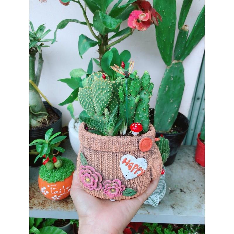 Chậu Xương Rồng Tiểu Cảnh