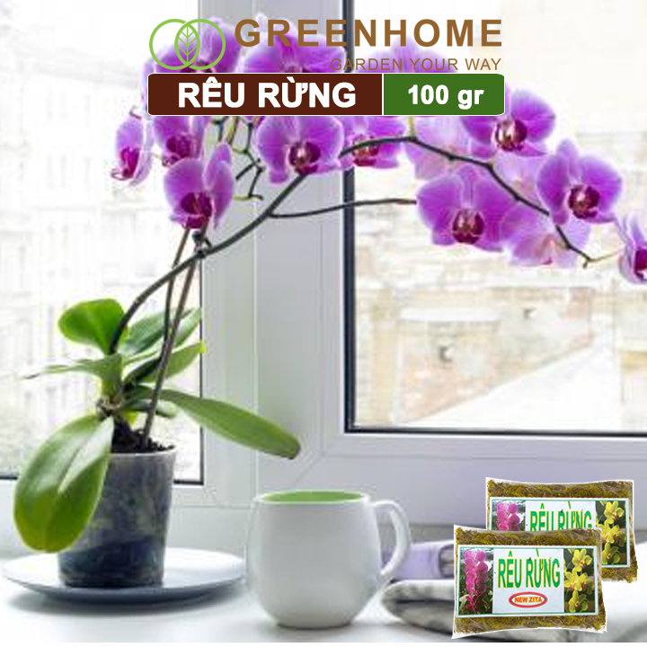 Rêu rừng, bao 100gr, đã qua xử lý, giữ ẩm tốt, chuyên phong lan, kiểng lá | Greenhome