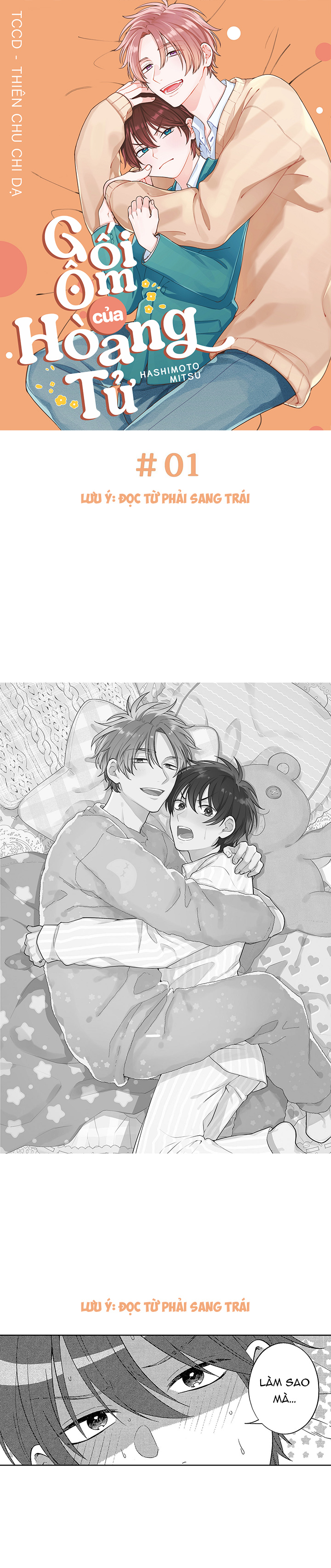 gối ôm của hoàng tử chapter 1 1