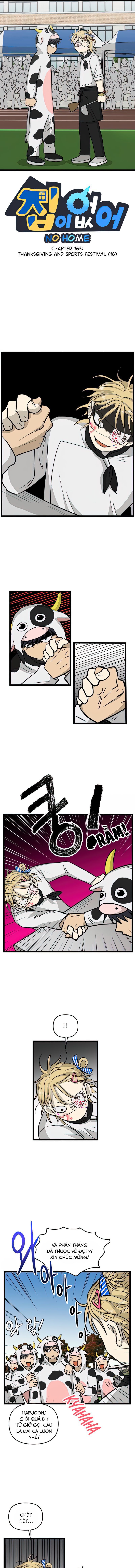 no home - không nhà chapter 163 1