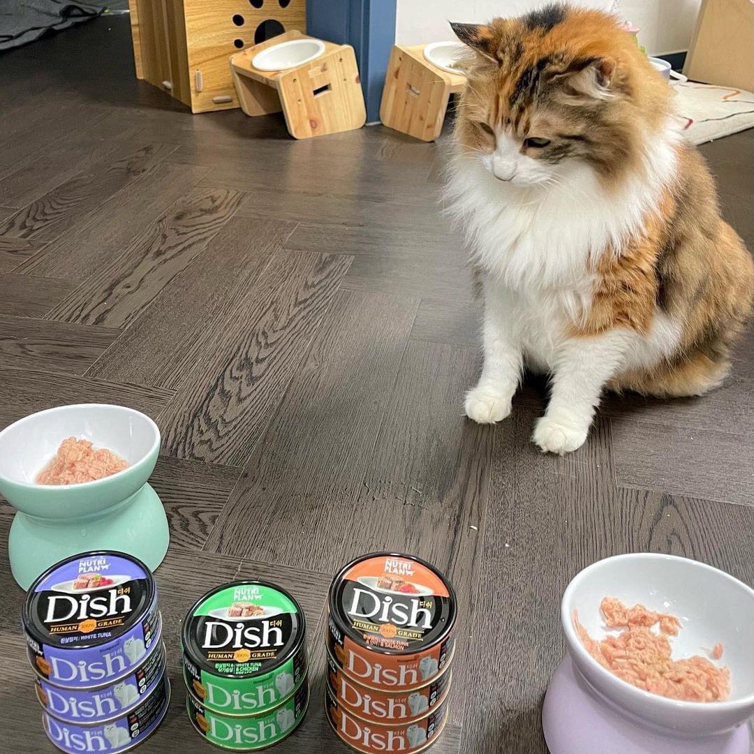 Pate cao cấp cho mèo Nutri Plan Dish 85g nhập khẩu Hàn Quốc