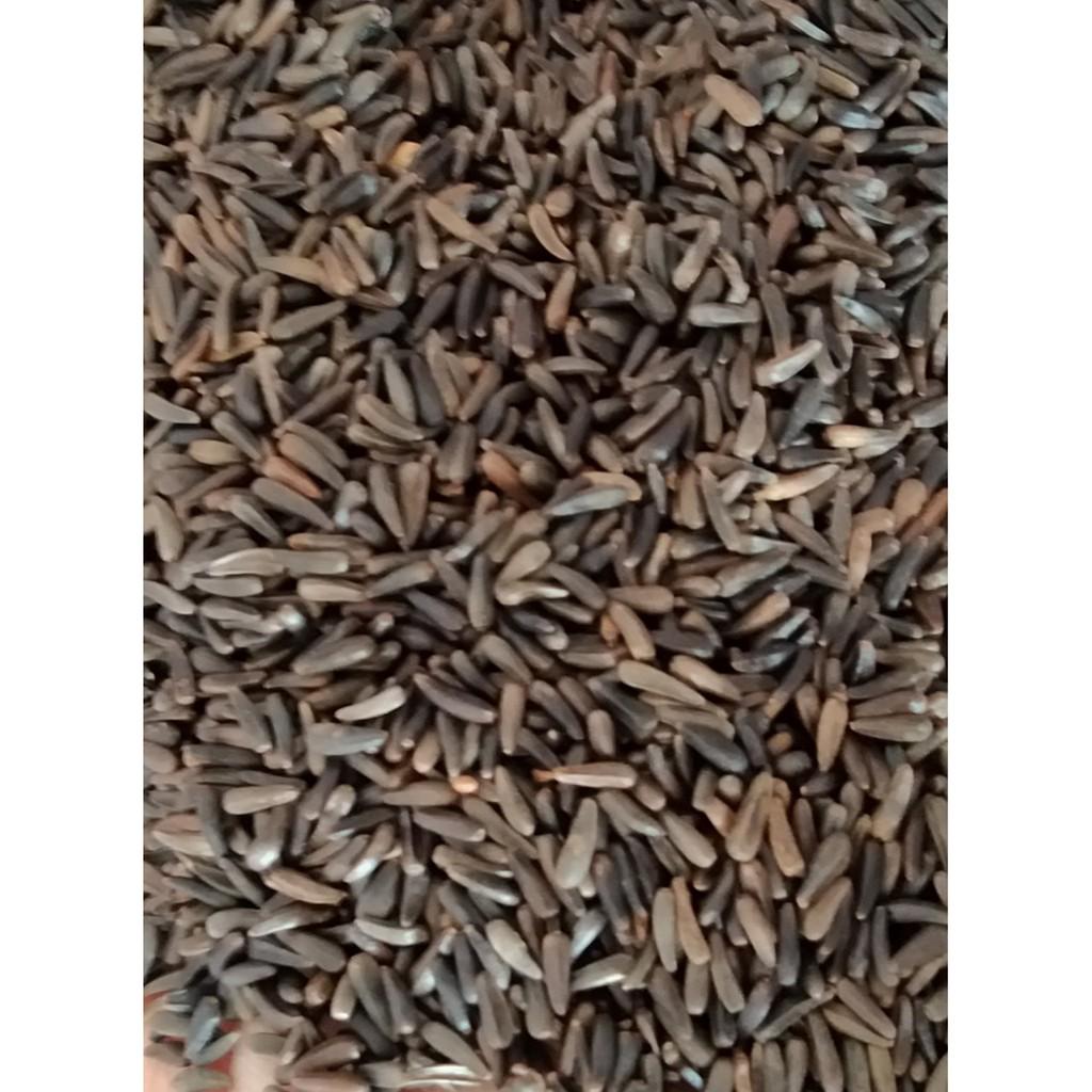 100g HẠT NIGER CHO CHIM VẸT