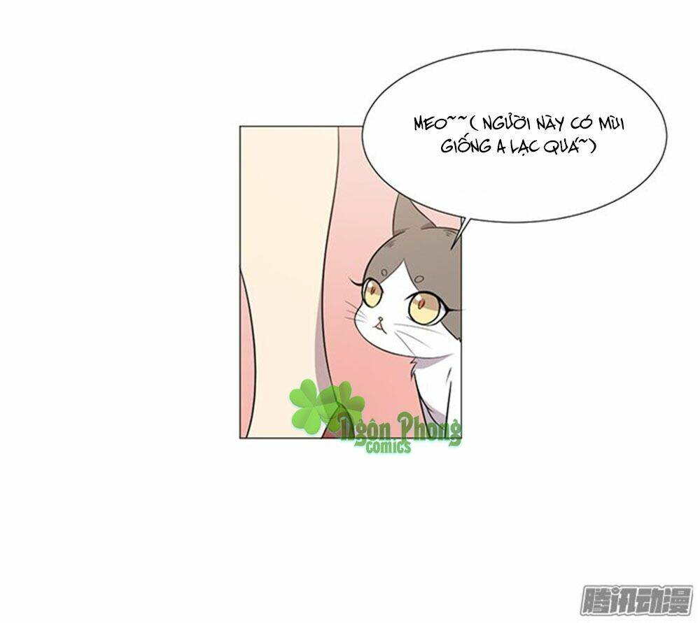 hai chú mèo totem chapter 38 31
