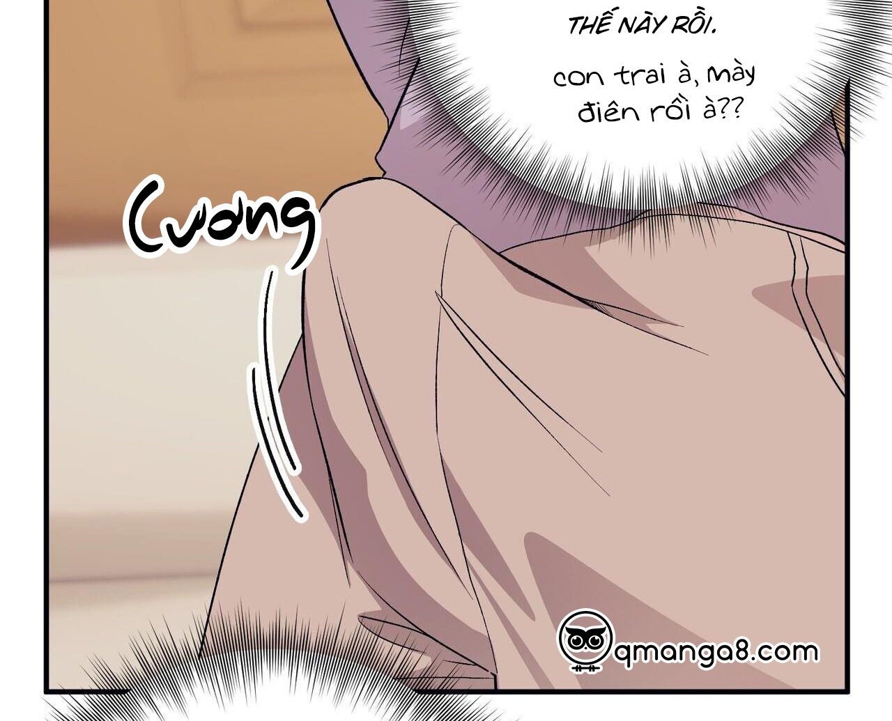 chàng dâu nhà họ kang chapter 48 46