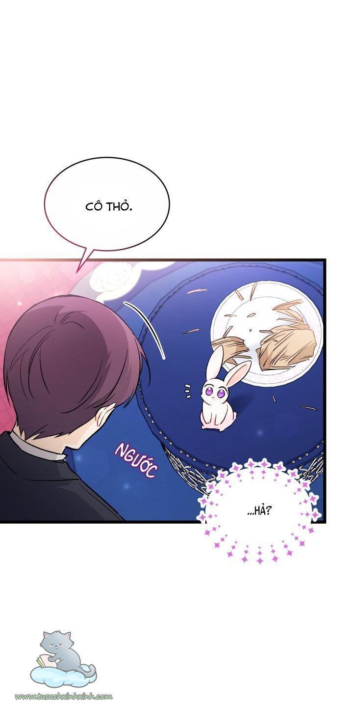 quan hệ cộng sinh giữa báo đen và thỏ trắng chapter 55 14