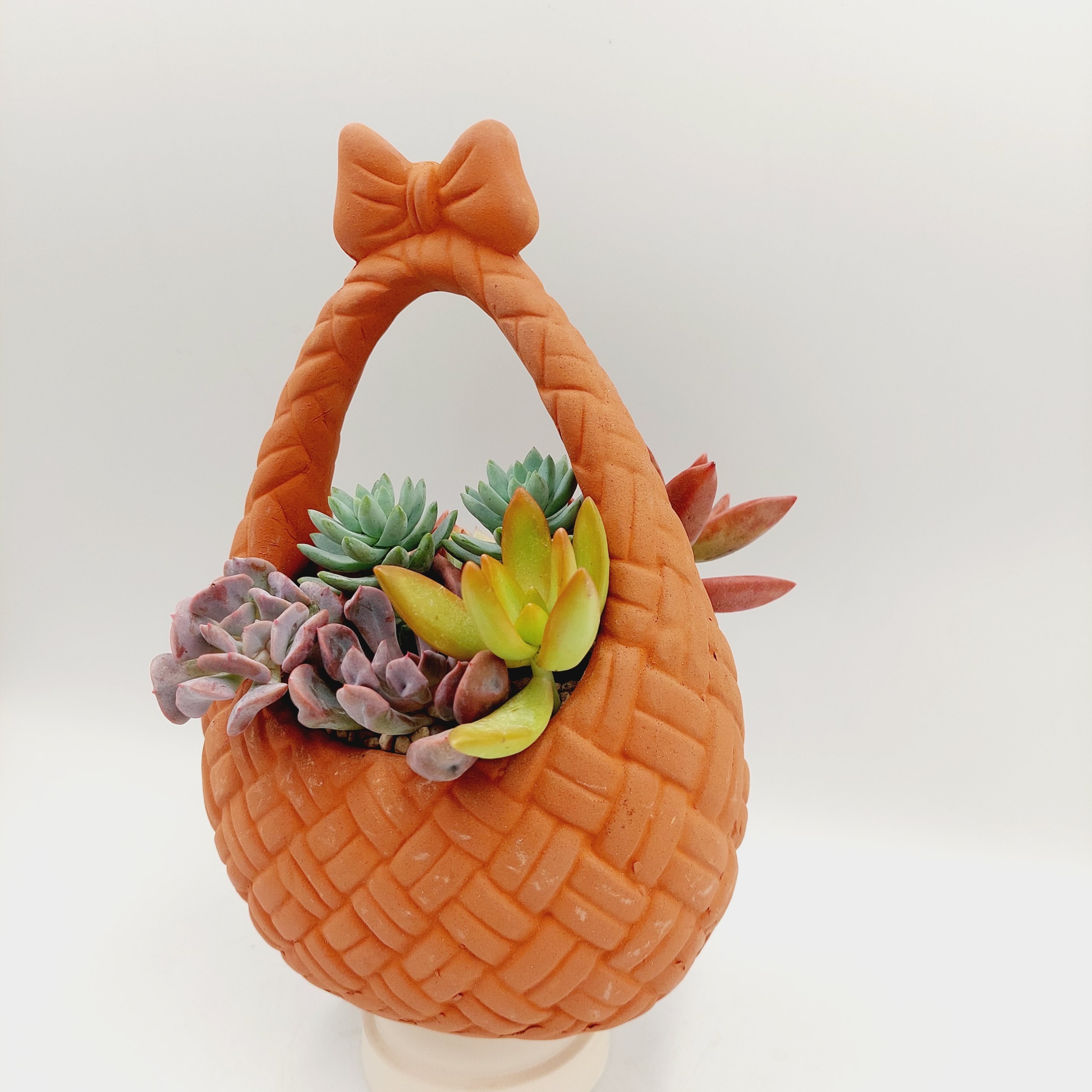 Chậu đất nung, chậu sen đá -Giỏ nơ, miệng chậu , chiều cao 20cm