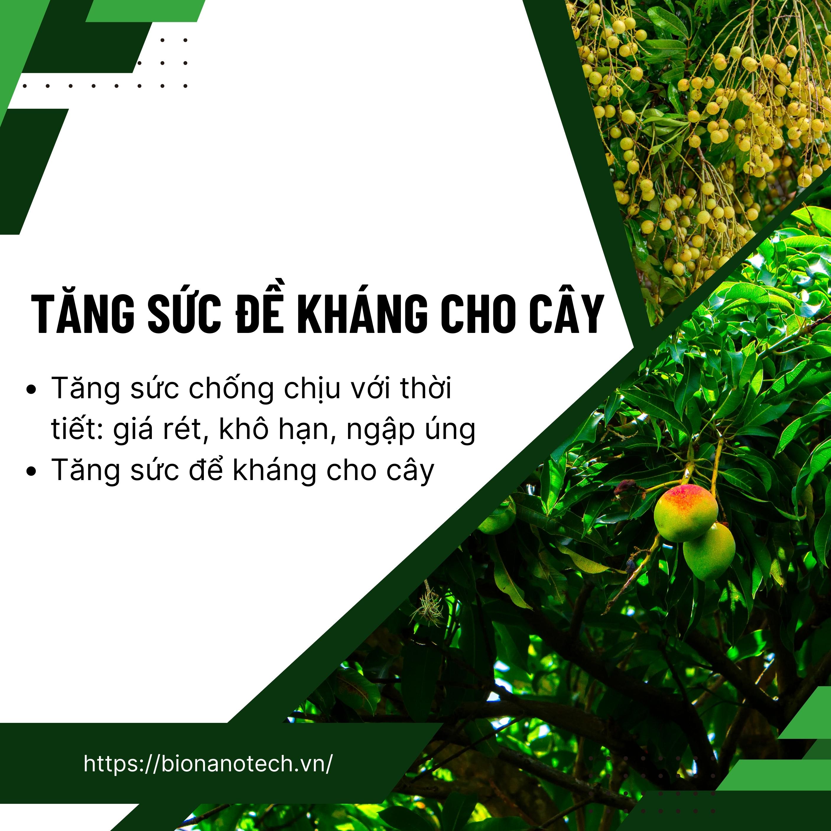 Phân bón lá vi lượng Super-Thives Plus CANXI BO KẼM giúp trái to đều, tăng tỷ lệ đậu trái và tăng sức đề kháng cho cây trồng