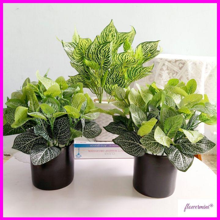 Chậu cây cảnh giả để bàn trang trí nhiều mẫu, cây vạn niên thanh decor nhà hàng xanh mát Flowermini CC-05
