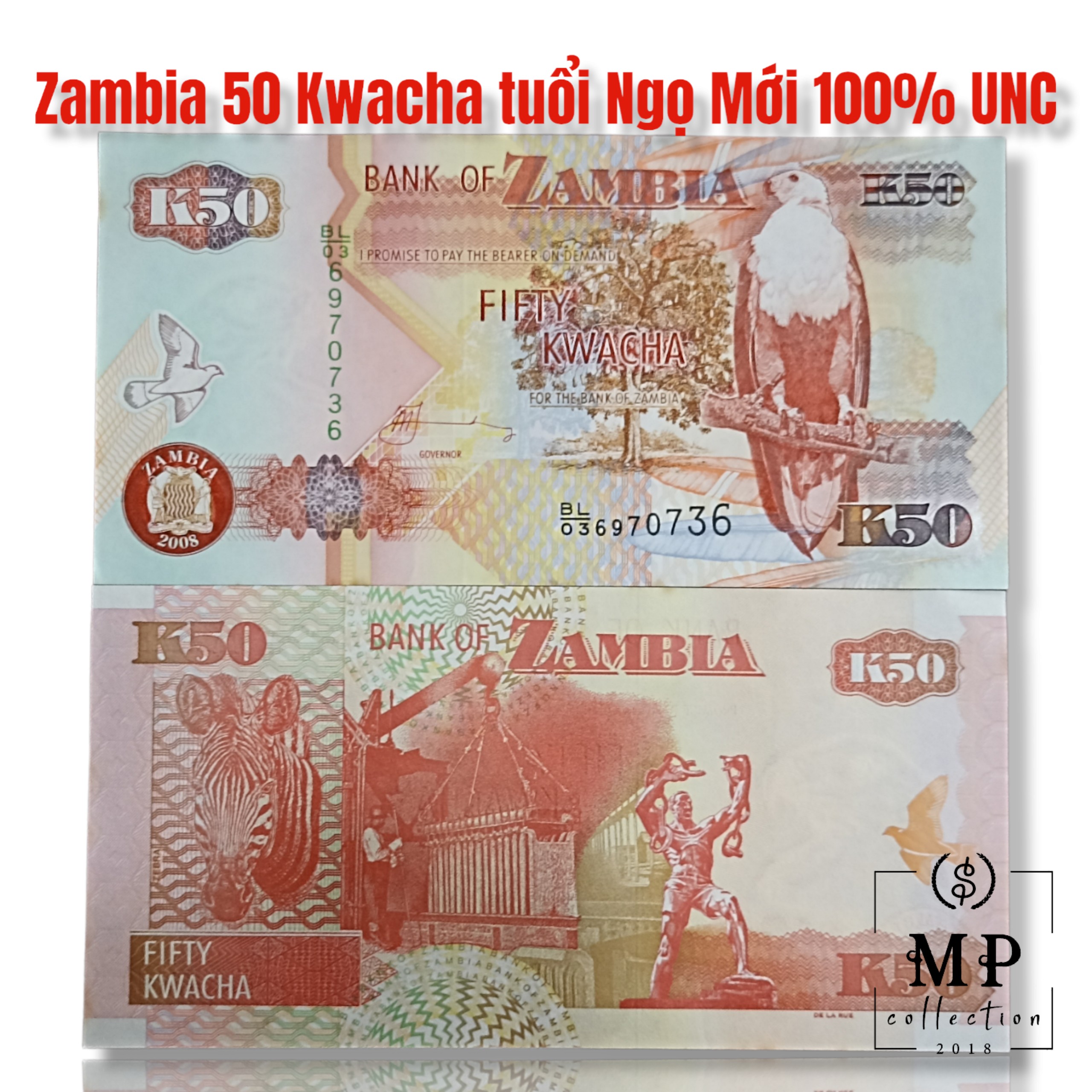 Tờ con ngựa của Zambia 50 Kwacha tuổi Ngọ sưu tầm , tiền châu Phi , Mới 100% UNC