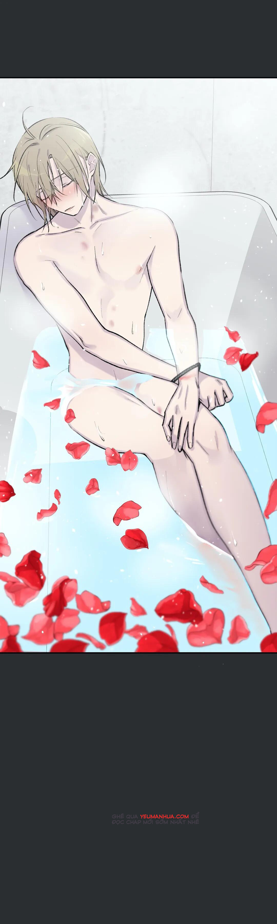 đừng viết nữa, tác giả thân mến! chapter 47 22