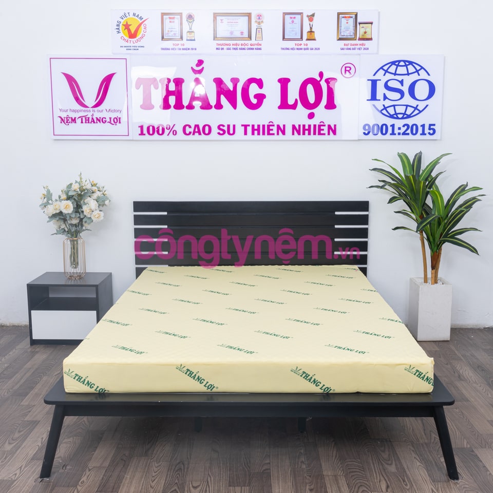 Nệm cao su non TL có massage