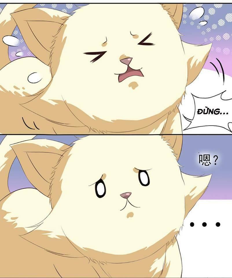 nguyệt ẩn thần chapter 13 11