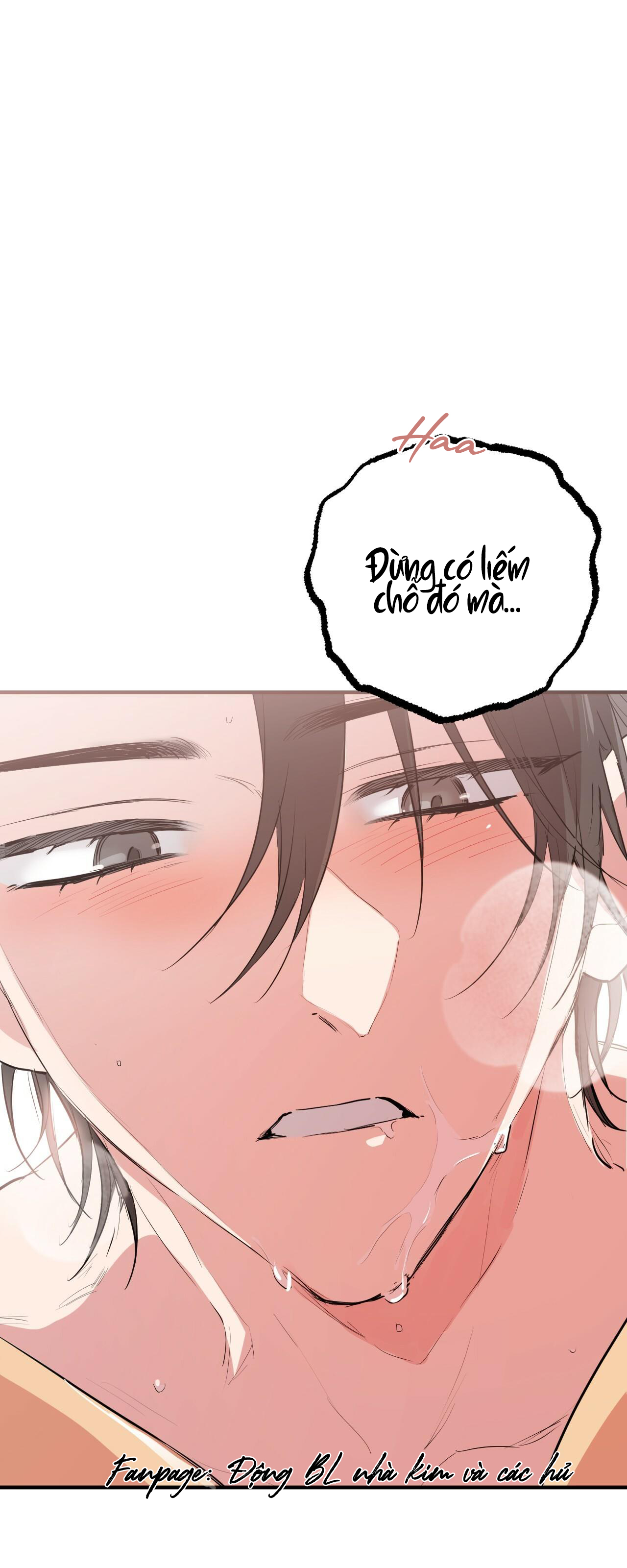 những chú thỏ của hapypy chapter 38 24