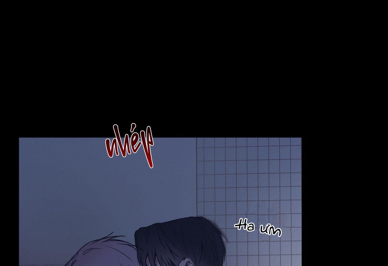 dải hợp âm trên đại dương xanh chapter 43 76