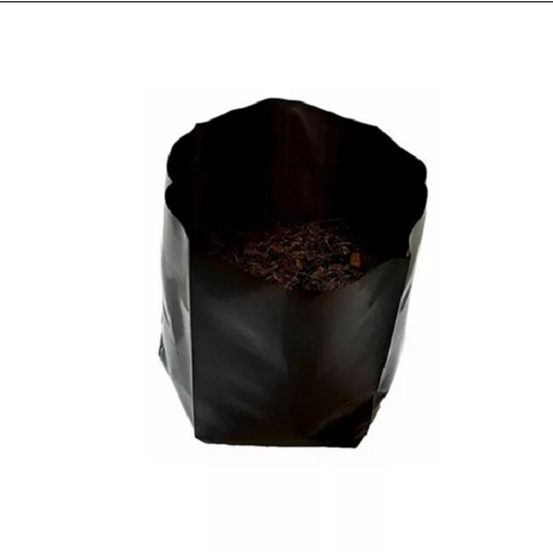 TÚI BẦU ƯƠM CÂY GIỐNG 1kg