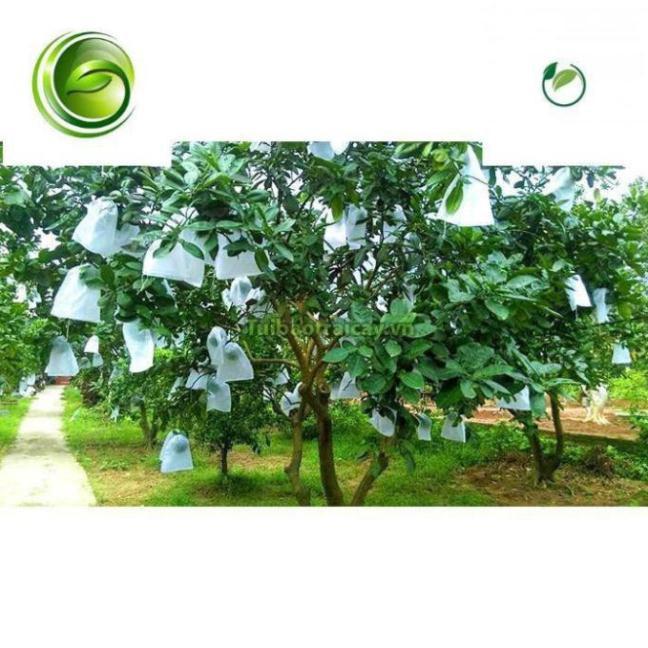 BỌC BƯỞI TÚI VẢI HÀNG LOẠI 1 SÉT 100 TÚI 25X30CM VẢI KHÔNG DỆT