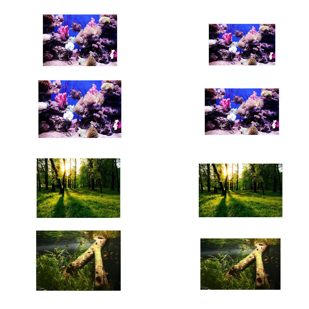 Aquarium Background Adhesive Poster Fish Tank Wall Decorations Sticker