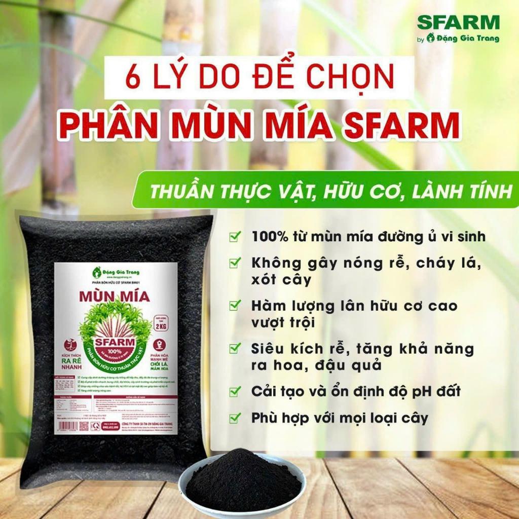 Phân mùn mía SFARM tăng tỉ lệ ra hoa đậu trái kích rễ mầm túi 2kg