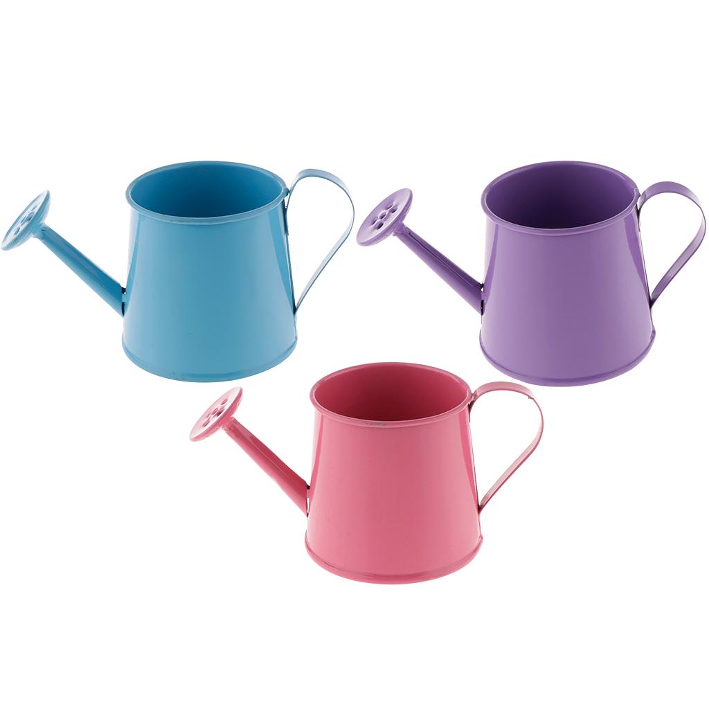3Pcs Pastoral Style Metal Tin Flower Pot Mini Bonsai Watering Can Flowerpot