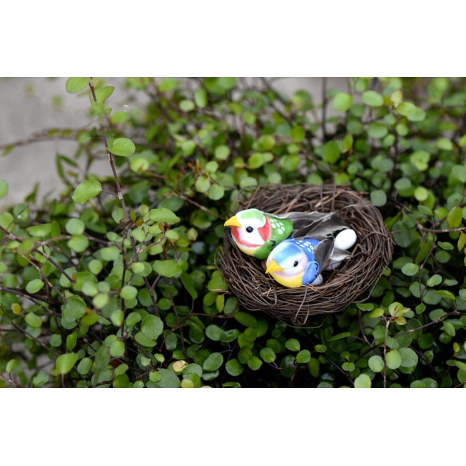 Mô hình tổ chim, trứng, chim hoàng oanh bằng lông chim tự nhiên trang trí tiểu cảnh, bonsai, DIY