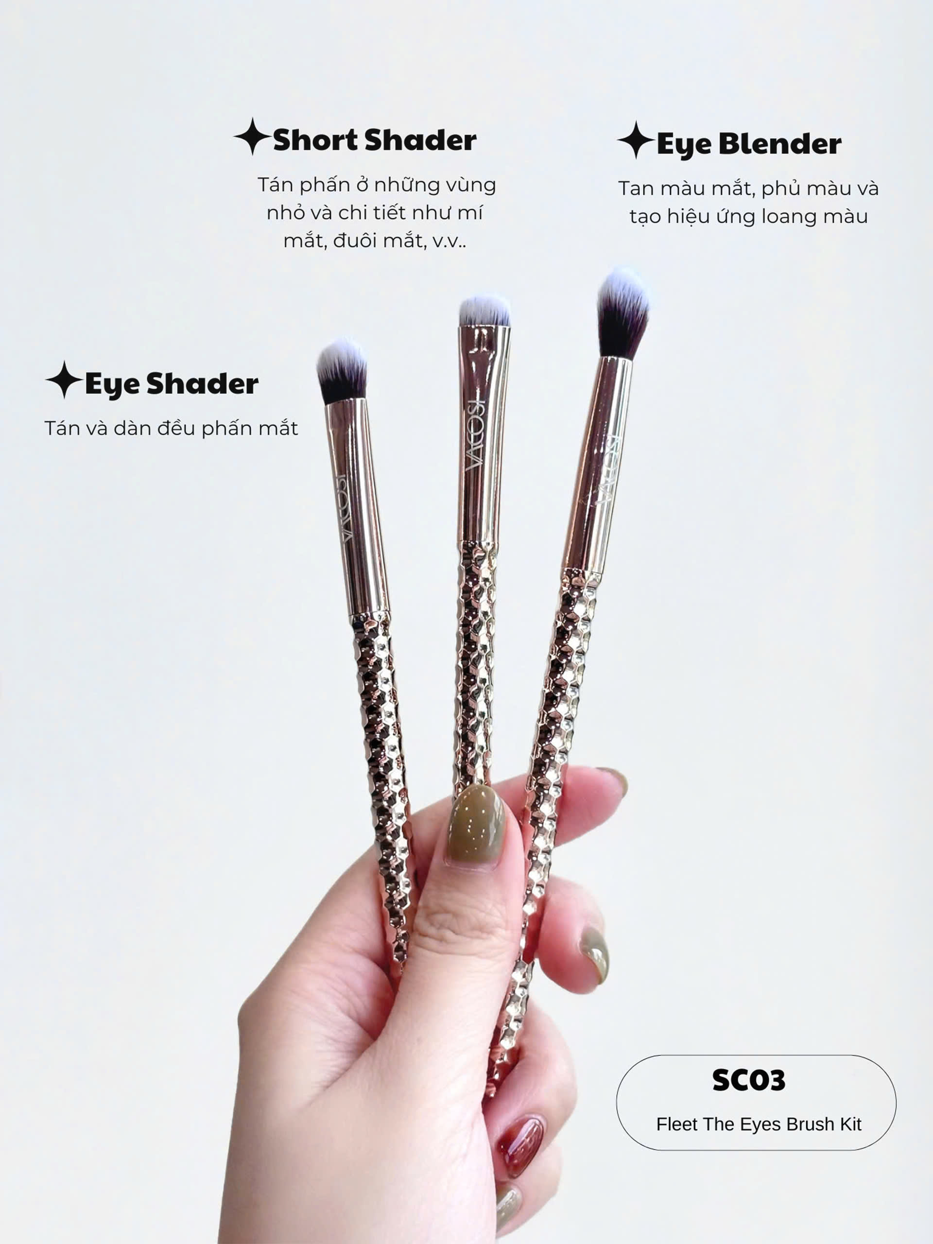 SC03 - BỘ KIT 3 CỌ MẮT PRO VACOSI, PHIÊN BẢN GOLDEN DRAGON - VACOSI FLEET THE EYES BRUSH KIT, 3PCS