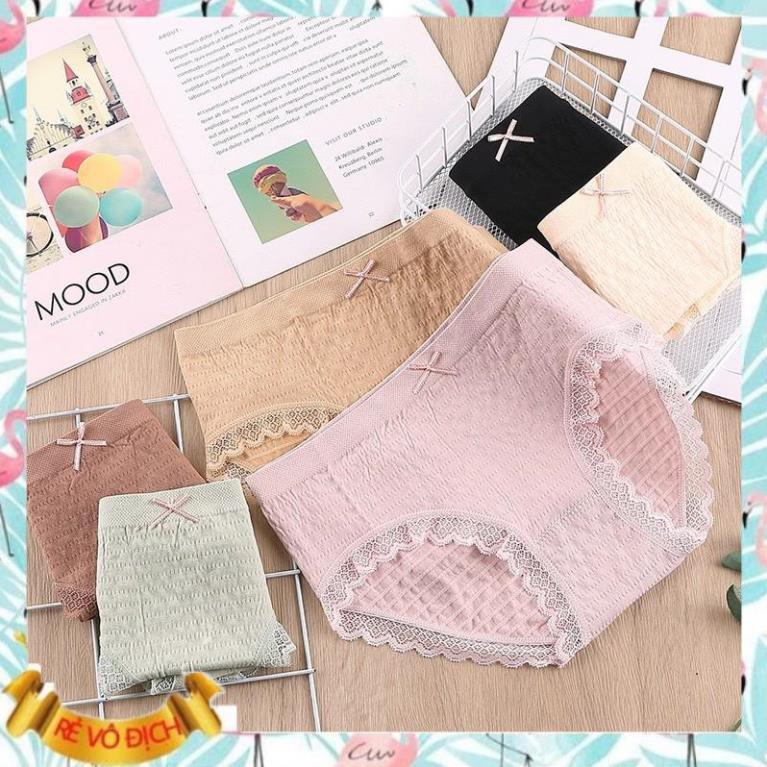 Quần Chíp, Quần Lót Cotton Sợi Tre Kháng Khuẩn Cao Cấp