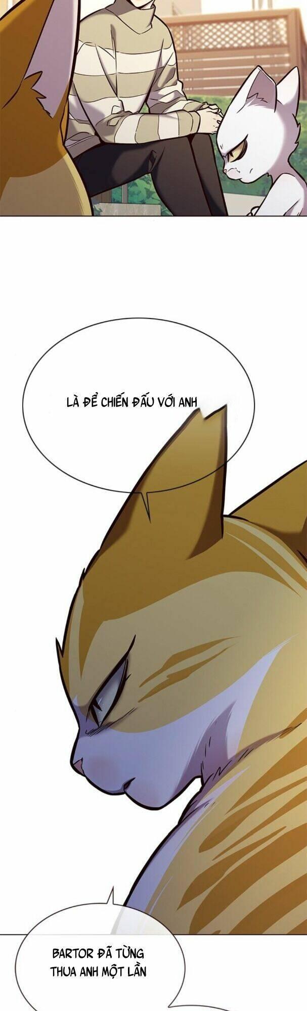 biến thân thành mèo chapter 181 47