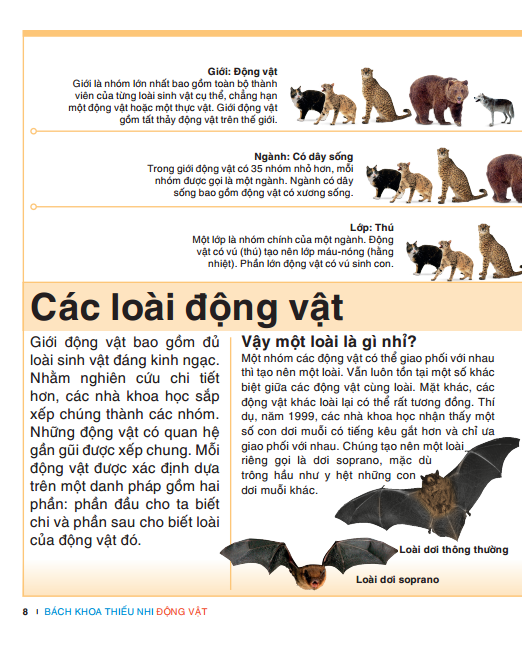 Tri Thức Trong Lòng Bàn Tay - Bách Khoa Thiếu Nhi - Động Vật (Bìa Cứng) (Tái Bản 2022)