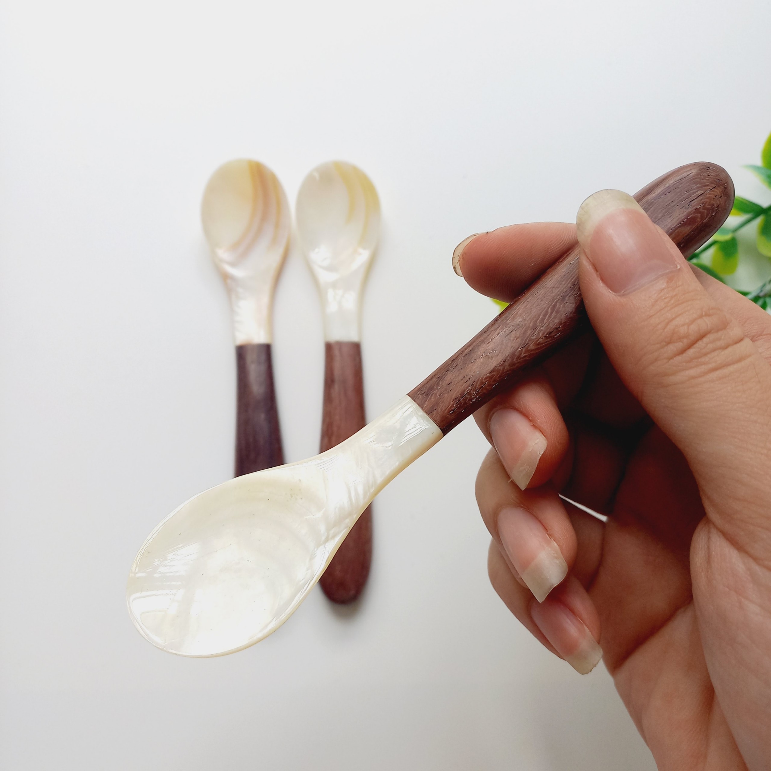 Thìa Trai Trắng Cán Gỗ Dài 13cm Tinh Tế Ăn Trứng Cá Hồi, Trứng Cua, Ăn Sữa Chua, Ăn Dặm Cho Bé Của Vitrapro